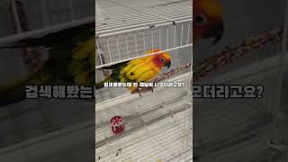 시청자 검색 요청