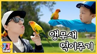 말하는 앵무새 먹이주기! 대전 오월드 놀이동산 버드랜드 체험 [제이제이 튜브-JJ tube]