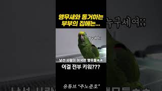 앵무새를 너무 사랑한 나머지...