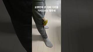 오랜만에 온 아빠 다리를 기어 오르는 앵무새 #parr…