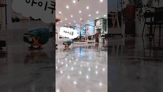 노을아 부르면...#청금강