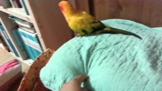 썬코뉴어 안녕끄덕훈련 ㅋㅋ?