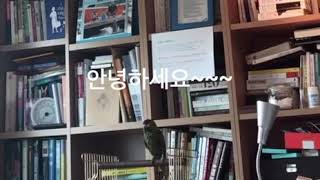 한스 마카우 말~~