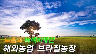 황홀한 일출 & 녹색 지평선 (Sunrise and horizon)