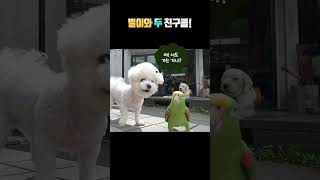 별이와 친구들~