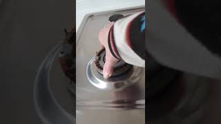 코뉴어앵무새 Vlog_가스불안들어와서 라면못끓여먹음