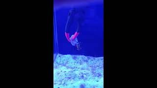 내 바지락 내놔~~~!!