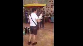 말레이시아 - 앵무새 사진 찍기