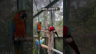 하이텐션은 이런것?   #가족여행 #대구이월드#금강앵무…