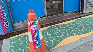 밖일 보러 하루랑 샤넬이랑 #청금강앵무새 #회색앵무새#왕관앵무새