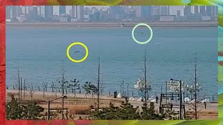 똑똑한 앵무새가  이제 막 자유비행을 시작한 친구를 위해 한 행동은?