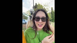 시드니 야생 코카투앵무새 너무 귀엽당 ㅠㅠ#앵무새 #코카투앵무새