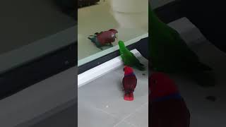 만나고싶은 홍금강ㅜ