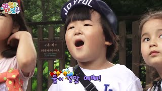 Wild Family, Who is a friend of Blue and Gold Macaw #06, 청금강의 짝은? 20140905