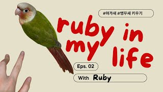 [루비의 성장일기] Ep.02 – 아기 코뉴어의 알곡 적응, 꽃&허브 포레깅존 체험, 첫 목욕 