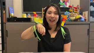 Let's make a Parrot Together! …