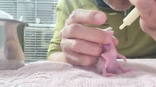 청금강 이유식 먹이기