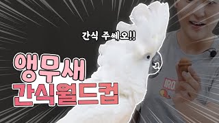 태식이의 편식 월드.. 아니 간식월드컵!