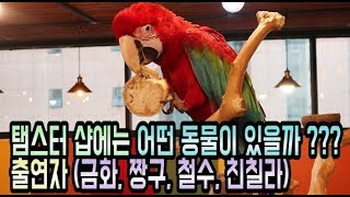 홍금강, 아마존, 친칠라, 다람쥐 근황 (재미있겠지??…