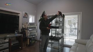 뉴기니아 앵무새를 잘 키우는 방법 Understandi…