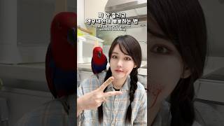 피 안 흘리고 앵무새한테 뽀뽀하는 법