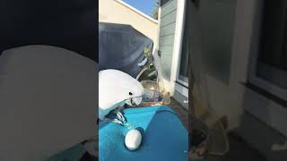 Played.September 28, 2024