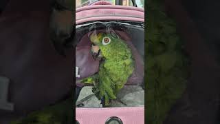 #엄마따라.여행가요☔️ #버스기다리기 #비올땐버스여행 …