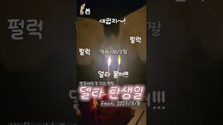 앵무새식 초 끄는 방법!! 델타의 탄생일~ #델타 #앵…