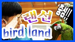 말하고 연기하는 앵무새! 대전동물원 버드랜드~ Feat…