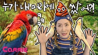 누가 내 머리에 똥쌌어?! | 말하는 새를 만나다! |…