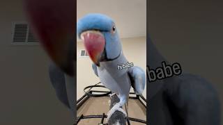 Rio’s favorite phrase #cuteanimals