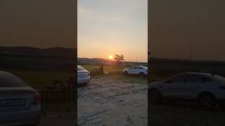 오늘이가 누구여..... #자유비행 #청금강 #freeflight #앵무새