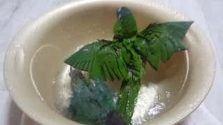 목욕이 좋아용♡♡