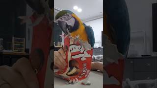 청금강 카라 심심할땐...