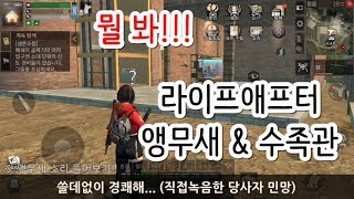 [라이프애프터 #10] 청금강 앵무새 & 호화 대리석 수족관 후기 & 사용법