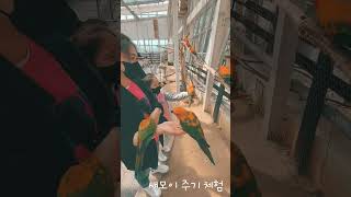 오월드 버드랜드