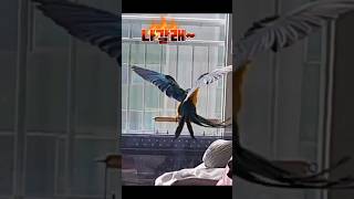 청금강 나갈래~