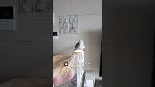 올챙이는 거기서 못 살아#빠른수정#노래하는앵무새#퀘이커…