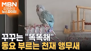 '뽀뽀뽀' 부르는 앵무새?…천재 앵무새 '꾸꾸'를 소개…