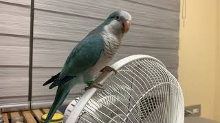 가을 with 아이스커피 (블루퀘이커)