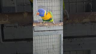 울 오색이 잘 있어요ㅋㅋ타이어 매장이 너무 바빠서 이제…