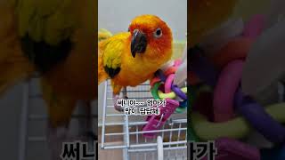 써니가 멍멍멍을 이해 할때까지 노래 할거야!  #썬코뉴…