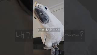 또속냐 인간아......!!! 간택받은…